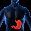 노니 필라테스 이미지