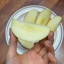 청송사과몰 | 수플농원 청송사과 가정용사과 후기