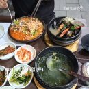 마니주면 돼지