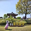 조양로120번길 이미지