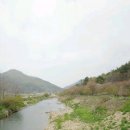 임자공인중개사사무소 이미지