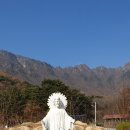 (주)대건드림