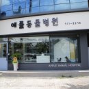 애플동물병원 이미지