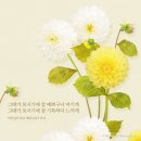 뮤지컬<여신님이 보고 계셔> 이미지