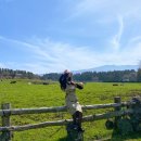 효선목장 이미지