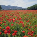 삼문풋살경기장 이미지