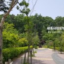 아름동해피라움1앞 이미지