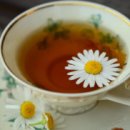 자연치유한의원 이미지