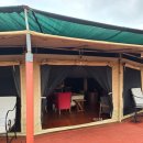 럭셔리(LUXURY) | 아프리카 탄자니아 사파리 타랑기레 숙소 롯지Acacia Tarangire Luxury Camp 후기