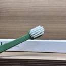 고운덴탈 | 여행 필수템으로 챙긴 미니치약과 미세모칫솔 칫솔추천, 오솔림 덴탈케어 사용후기