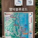블루로드 이미지