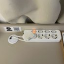 파루스셀라 성수 이미지