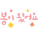 화창태권도장 이미지