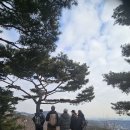 꼬뚜레