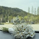 시집가는날 - 순천시 향매로 69 | [웨딩 촬영 후기] 전주 시집가는날 웨딩 촬영 후기 +셀프부케