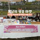 오산천 | [오산축제] 경기도 오산 봄날의 벚꽃마켓 오산천 축제 프리마켓 체험 후기!