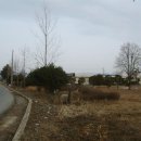 수남초등학교 Daum카페