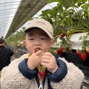 검은들농장 이미지