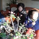 형석농장 이미지