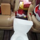 메가쉴드 - 안산시 단원구 산단로 325 | 안산 세차 잘하는 메가쉴드에서 카니발 세차 후기!