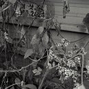 녹천약수터 이미지