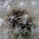 구덕초등학교 이미지