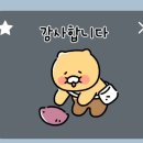 감사합니다. 이미지