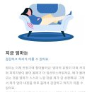 솔가맥 | 임신일기 16주차 : 성별확인, 2차 기형아 검사, 자궁경부길이 재검 확정, 철분제 복용, 태동?!