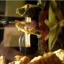 하로2리 이미지