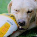 달빛농장 이미지