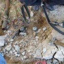 조광주유소 이미지