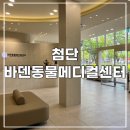 24시 바덴동물메디컬 | [광주 동물병원] 첨단 24시 동물병원에서 고양이 건강검진 :: 첨단 24시바덴동물메디컬센터