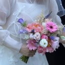 행복담은에프엔비 | Wedding Diary 7 _ 대전 야외웨딩 [ 비브레스 가든 ] 웨딩홀 솔직 후기｜야외결혼식 로망 실현한 예식장 🌿