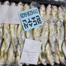 무안세발낙지 이미지