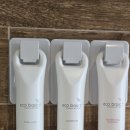 씨티호텔 | 가족여행 추천, 강릉씨티호텔 8월 디럭스더블룸 내돈내산 솔직 후기