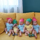 슬로우버드 이미지