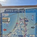 해파랑길 15코스(호미곶~흥환보건소)