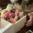 플로라모르스튜디오
