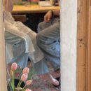 비바에이