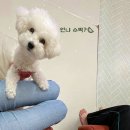 해나동물병원 이미지