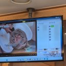 동탄연세이비인후과의원 | 돌발성 난청 치료 후기 / 수원 망포 동탄 무한 검색 후 정착한 "차이비인후과"