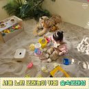 숲속모래성키즈카페노원 | 서울 노원 숲속모래성 놀이 키즈카페 33개월 후기