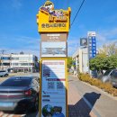 꽃피는민박 | 순천여행 시티투어버스 세계유산투어 후기