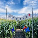 거제시농업기술센터 이미지