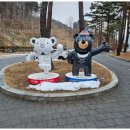 기린초 관광펜션 | 강원도 인제스피디움 콘도동 후기