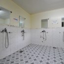 계곡과소나무 캠핑장 이미지