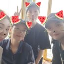 겨루넷