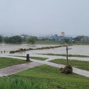 세종 태양광발전소 이미지