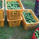 문정순농장 이미지