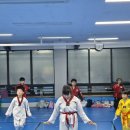 강호 해솔 태권도 이미지